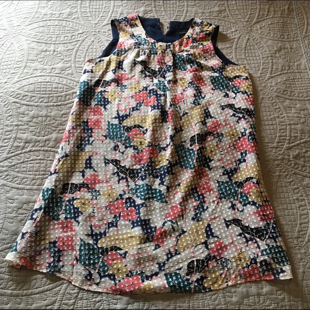 EUC Anthropologie Sleeveless Floral Swing Dress